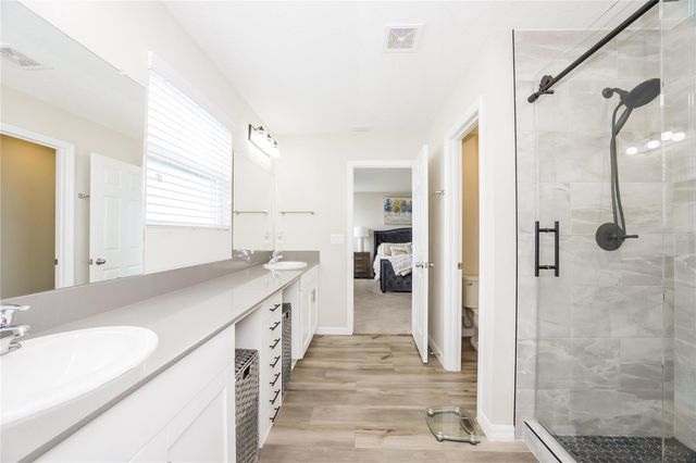 12767 MANGROVE FOREST DRIVE, Riverview, FL 33579