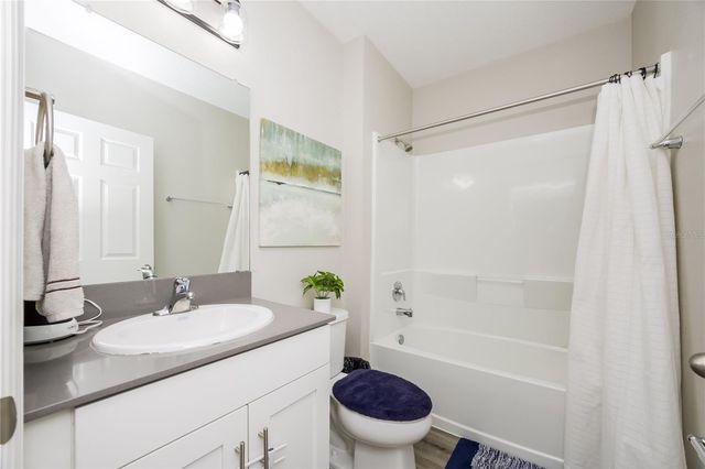 12767 MANGROVE FOREST DRIVE, Riverview, FL 33579