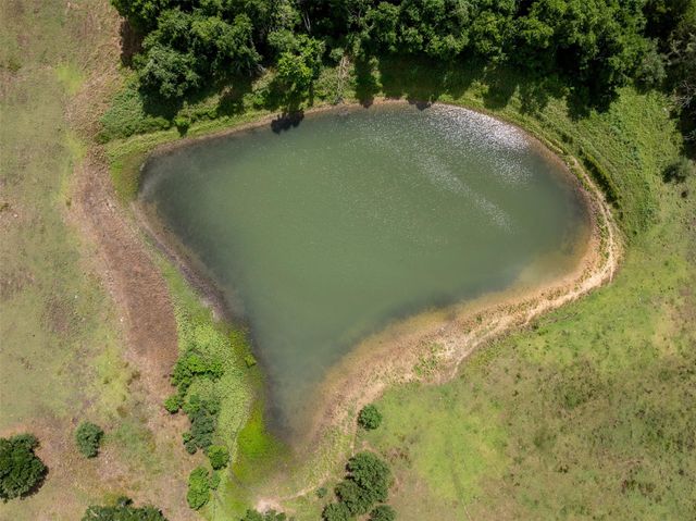 6550 Gibbs Creek Road, Chappell Hill, TX 77426