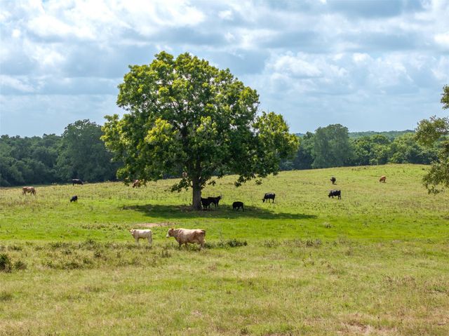 6550 Gibbs Creek Road, Chappell Hill, TX 77426