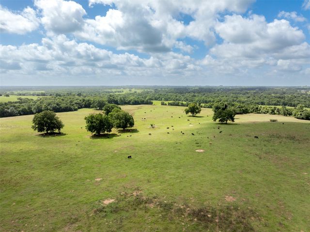 6550 Gibbs Creek Road, Chappell Hill, TX 77426