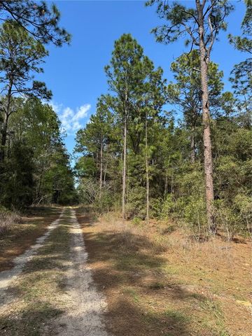 SW 156TH COURT, Ocala, FL 34481