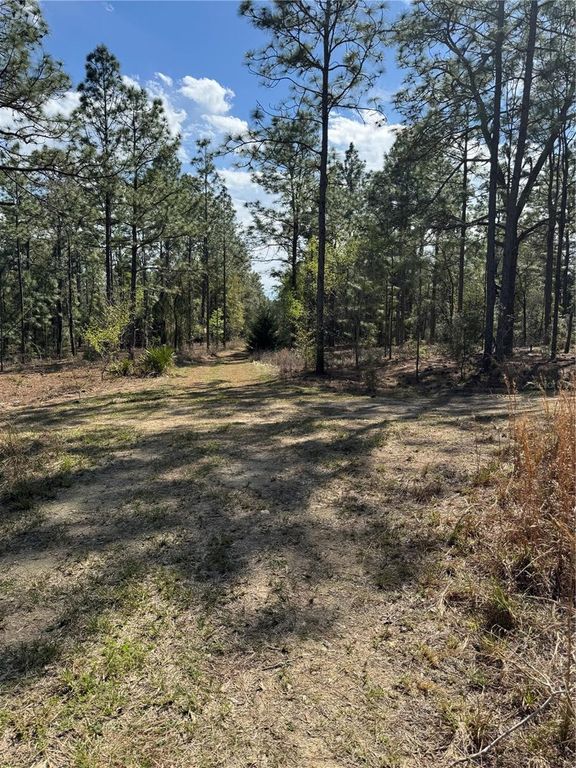 SW 156TH COURT, Ocala, FL 34481