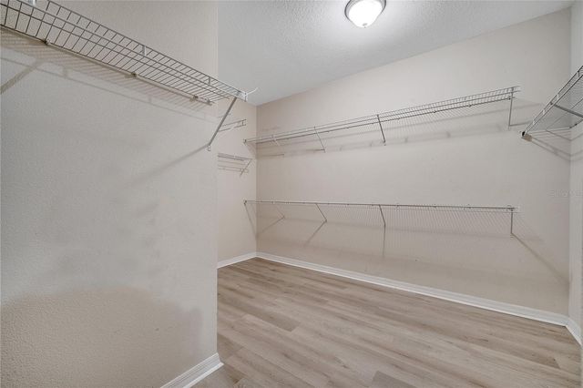 14819 DEL MORROW WAY, Orlando, FL 32824