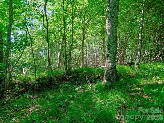 0 Ogle Meadows Road 5, Burnsville, NC 28714