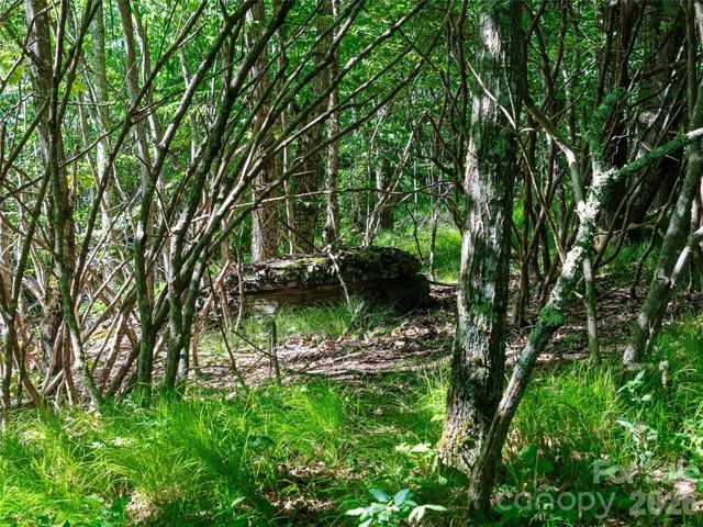 0 Ogle Meadows Road 5, Burnsville, NC 28714