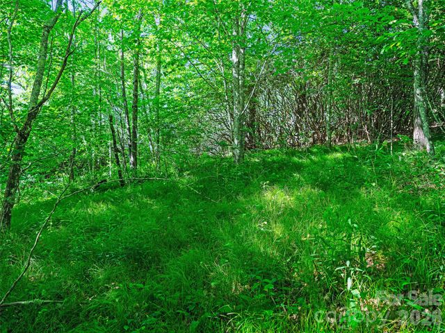 0 Ogle Meadows Road 5, Burnsville, NC 28714