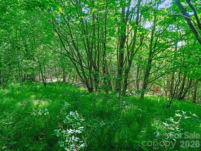 0 Ogle Meadows Road 5, Burnsville, NC 28714