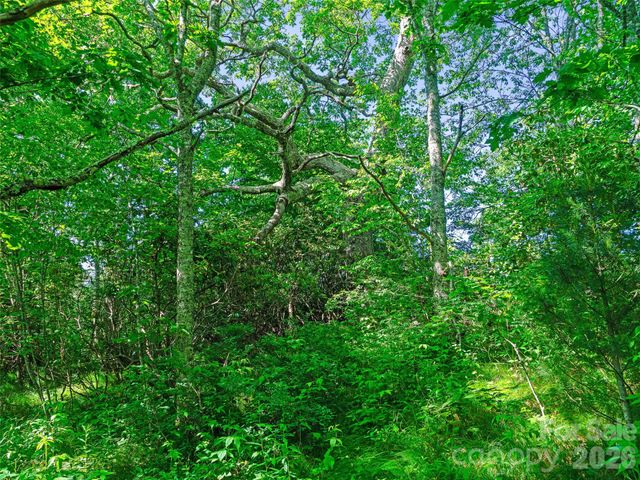 0 Ogle Meadows Road 5, Burnsville, NC 28714