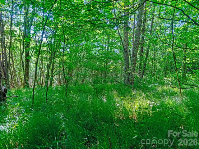 0 Ogle Meadows Road 5, Burnsville, NC 28714