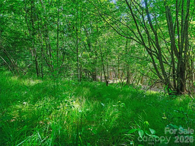 0 Ogle Meadows Road 5, Burnsville, NC 28714