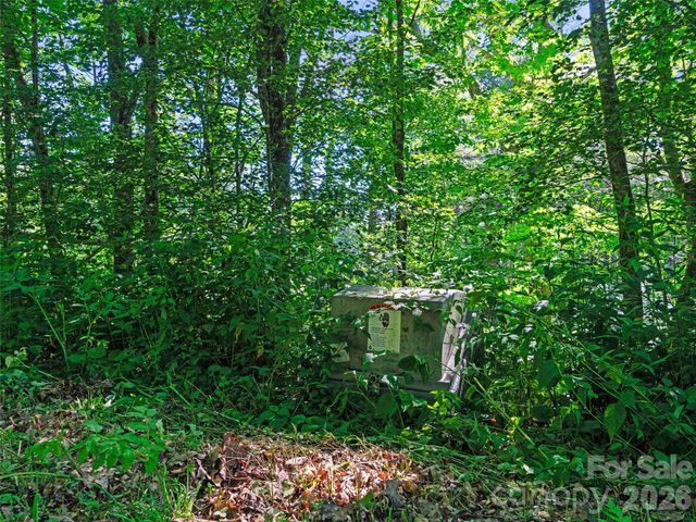 0 Ogle Meadows Road 5, Burnsville, NC 28714