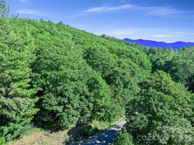 0 Ogle Meadows Road 5, Burnsville, NC 28714