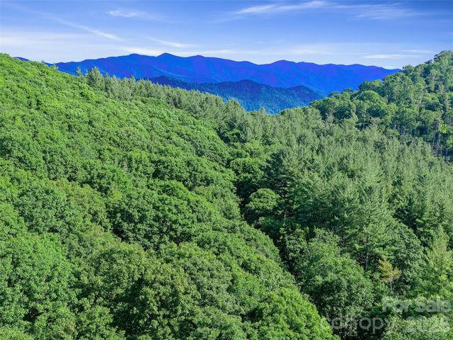 0 Ogle Meadows Road 5, Burnsville, NC 28714