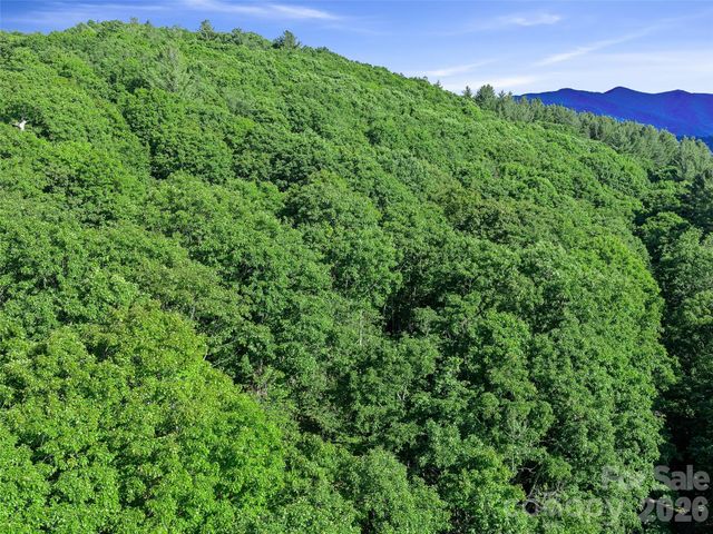 0 Ogle Meadows Road 5, Burnsville, NC 28714
