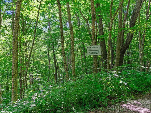 0 Ogle Meadows Road 5, Burnsville, NC 28714