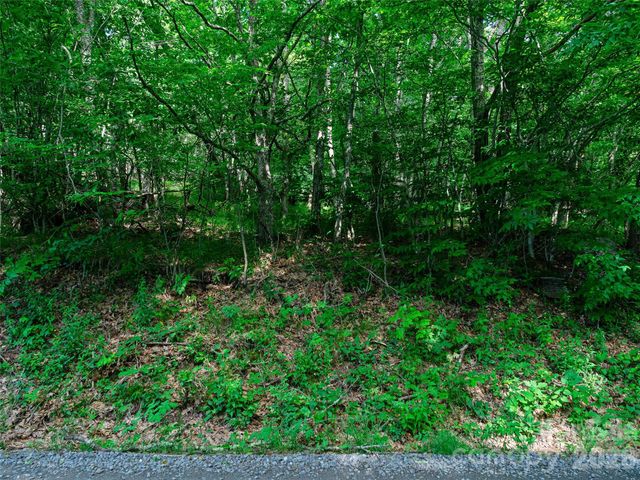 0 Ogle Meadows Road 5, Burnsville, NC 28714