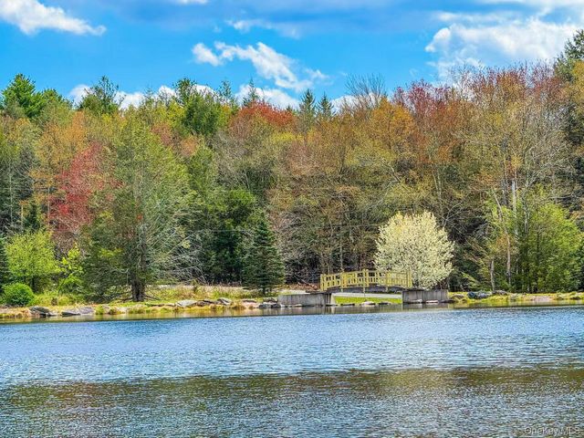 235 Cantrell Road, Monticello, NY 12701