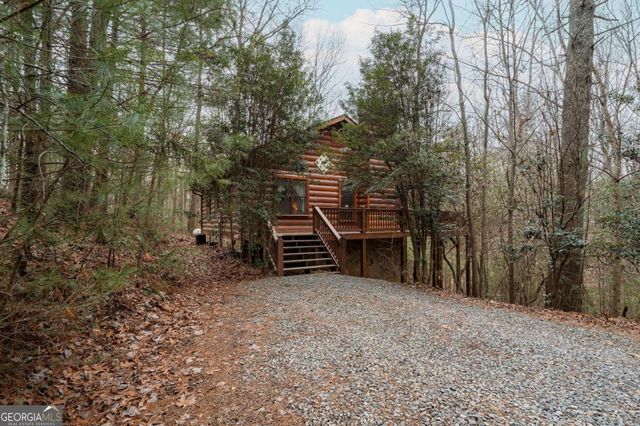 1165 Little Bushy Head Road 220, Blue Ridge, GA 30522
