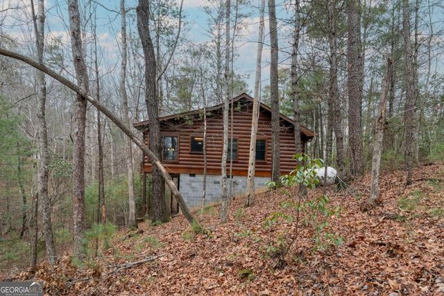 1165 Little Bushy Head Road 220, Blue Ridge, GA 30522