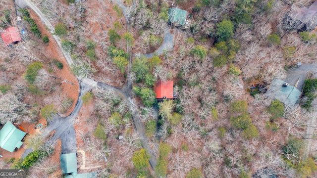 1165 Little Bushy Head Road 220, Blue Ridge, GA 30522