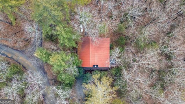 1165 Little Bushy Head Road 220, Blue Ridge, GA 30522