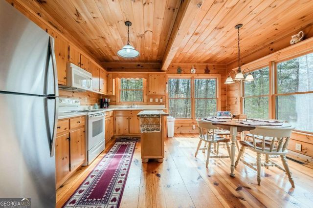 1165 Little Bushy Head Road 220, Blue Ridge, GA 30522