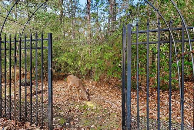 146 E Northcastle Circle, The Woodlands, TX 77384