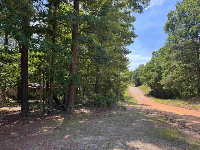 383 Belle Terre Drive, Hot Springs, AR 71913