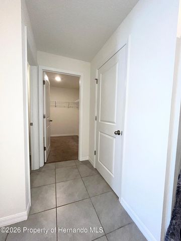 4045 Montano Avenue, Spring Hill, FL 34609