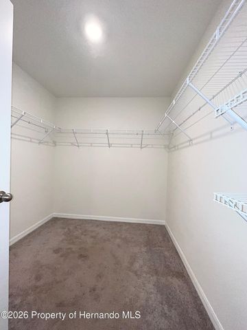 4045 Montano Avenue, Spring Hill, FL 34609