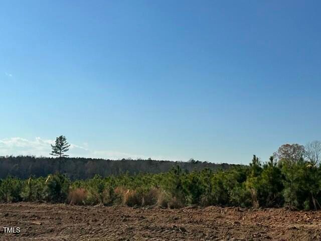 Lot 20 Good Shepherd Trail, Spring Hope, NC 27882