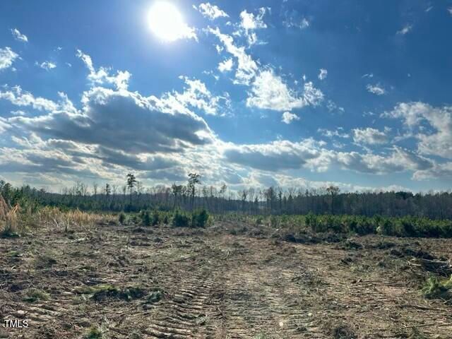 Lot 20 Good Shepherd Trail, Spring Hope, NC 27882