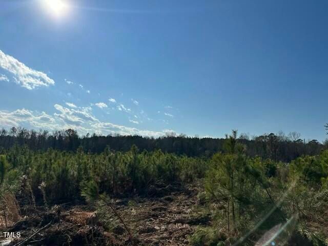 Lot 20 Good Shepherd Trail, Spring Hope, NC 27882