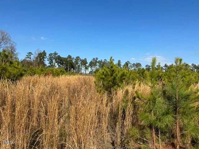 Lot 20 Good Shepherd Trail, Spring Hope, NC 27882