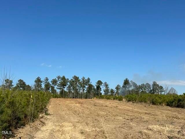 Lot 20 Good Shepherd Trail, Spring Hope, NC 27882