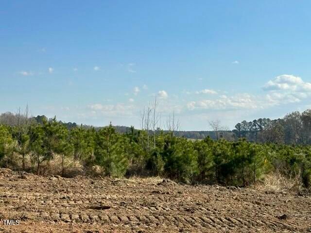 Lot 20 Good Shepherd Trail, Spring Hope, NC 27882