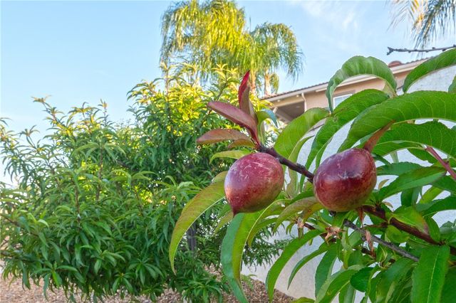 1253 Viento Court, Riverside, CA 92508