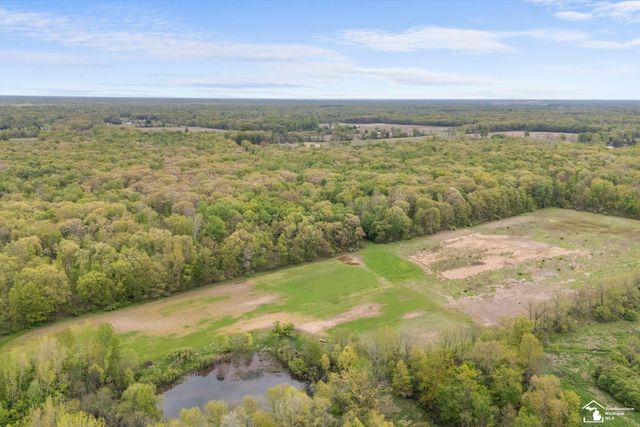 12242 S Stoney Creek Road, Maybee, MI 48159