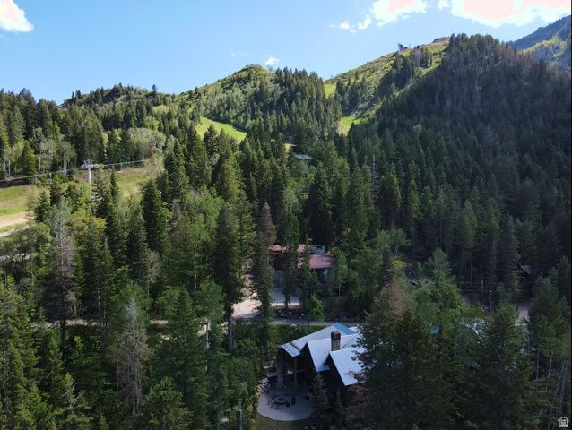3060 E DEER RUN ROAD, Sundance, UT 84604
