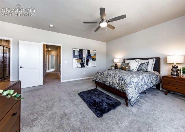 13388 Positano Point, Colorado Springs, CO 80921