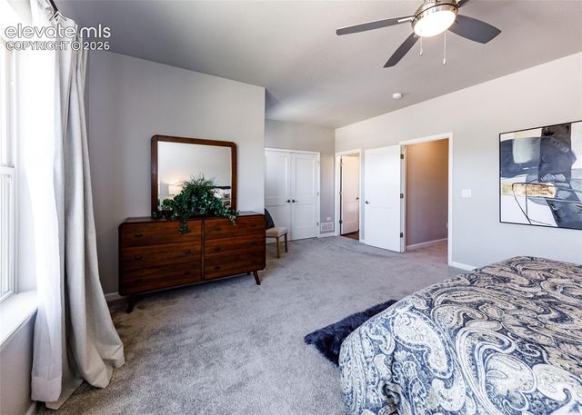 13388 Positano Point, Colorado Springs, CO 80921