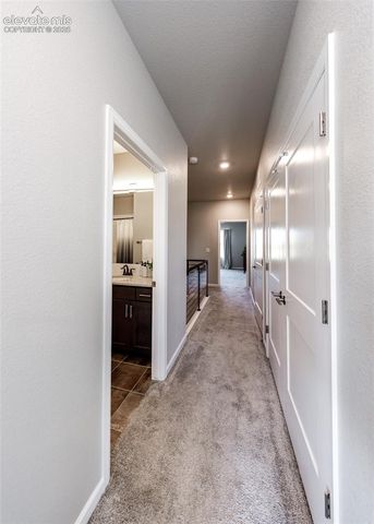 13388 Positano Point, Colorado Springs, CO 80921