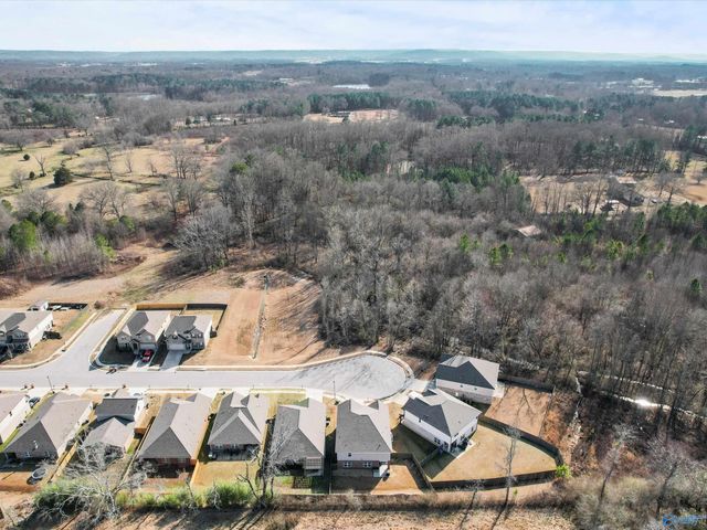 711 Magnolia Place Lane SW, Hartselle, AL 35640