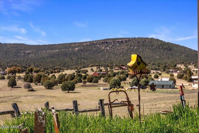 394 S COHEA Lane, Young, AZ 85554