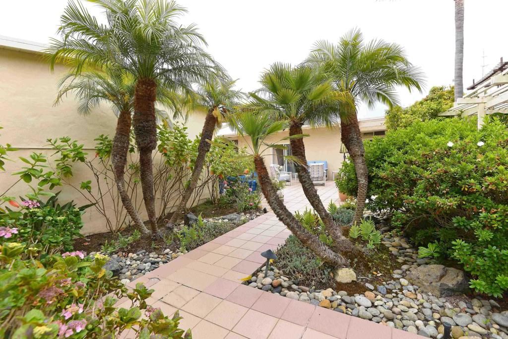 Image 16 of property listing at 7231 Rue MIchael, La Jolla, CA 92037