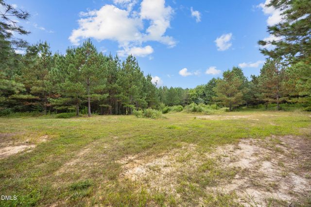 Lot 3 Wolf Tree Way, Efland, NC 27243