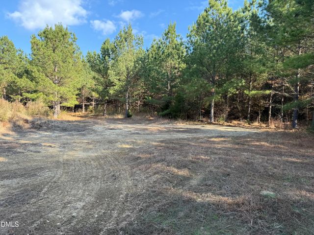 Lot 3 Wolf Tree Way, Efland, NC 27243