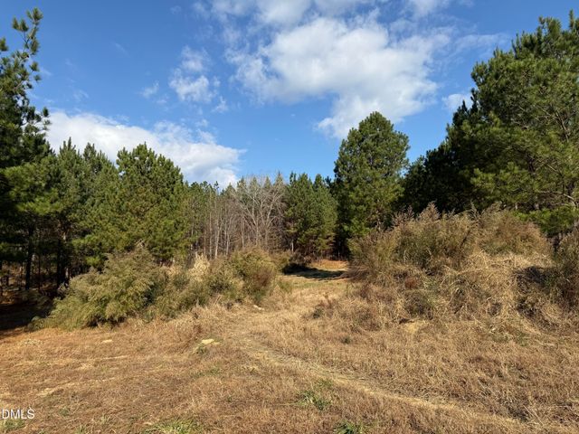 Lot 3 Wolf Tree Way, Efland, NC 27243