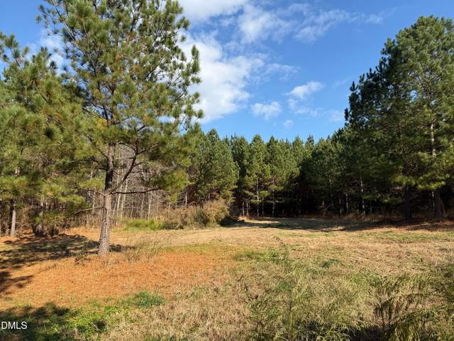 Lot 3 Wolf Tree Way, Efland, NC 27243